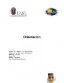 Mapa mental orientación.