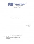 Práctica N°2. Materiales y Sustancias