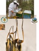 Mantenimiento en colonias de abejas (Anthophila) en relación con su estado sanitario y la influencia de las condiciones climáticas.