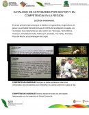 CATALOGO DE ACTIVIDADES POR SECTOR Y SU COMPETENCIA EN LA REGION