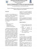 El motor está conformado por un inducido y un estator, el inducido gira y tiene imanes, y el estator como lo dice su nombre es estático, y tiene imanes.