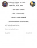 Actividad Integradora Reporte escrito sobre las moléculas biológicas