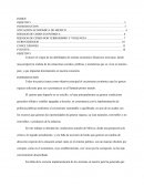 LOS RIESGOS ECONÓMICO-FINANCIEROS QUE ENFRENTA MÉXICO.