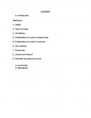 Agricultura. Marihuana