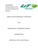 MICROBIOLOGIA -REPORTE DE VISITA A BIOTECNICA-