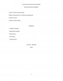 Desarrollo de un Produco de exporacion.