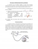 Estructura trimensional de las proteinas