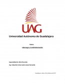 Entrevista sobre liderazgo y la administración
