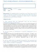 Tarea 4 creacion empresariol.