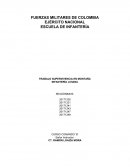 TRABAJO SUPERVIVENCIA EN MONTAÑA INFANTERIA LIVIANA