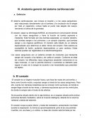 Anatomía general del sistema cardiovascular