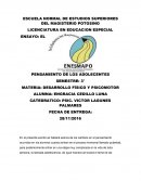 ENSAYO: EL PENSAMIENTO DE LOS ADOLECENTES.