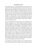 Don café llega a New York