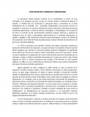 EVOLUCION DEL CURRICULO VENEZOLANO