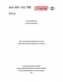 PLAN DE FORMACION “CULTURA DE SERVICIO”