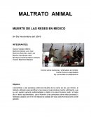 Maltrato animal.