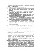 ¿Cuáles son las actividades empresariales y explica cada una de ellas?