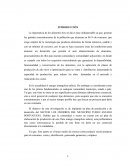 La importancia de los alimentos hoy en día es muy indispensable