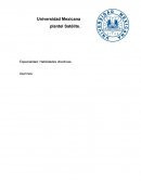 Habilidades directivas.