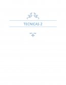 Técnicas de cocción empleadas