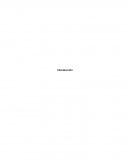 Comercio informal en la ciduad de mexico