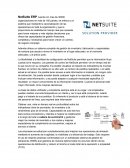 Plan de negocio NetSuite ERP.