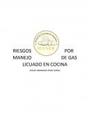 RIESGOS POR MANEJO DE GAS LICUADO EN COCINA