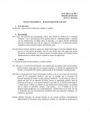 Texto filosófico - Manuscritos de Kelsen