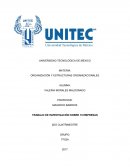 ORGANIZACIÓN Y ESTRUCTURAS ORGANIZACIONALES . TRABAJO DE INVESTIGACIÓN SOBRE 10 EMPRESAS