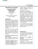 Informe de laboratorio. MICROSCOPIA l