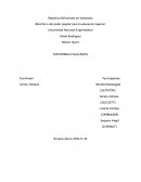 Los estudiantes de la universidad nacional experimental Simon Rodriguez