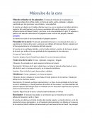 Músculo orbicular de los párpados