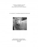 LA CLONACIÓN Y LAS REPERCUSIONES ÉTICAS SOCIALES