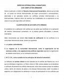 Derechos humanos internacionales.