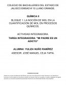 BLOQUE 1: LA NOCIÓN DE MOL EN LA CUANTIFICACIÓN DE MOL EN PROCESOS QUÍMICOS...