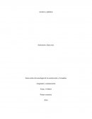 Acentos y palabras. Penúltima silaba, última silaba