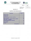 PRÁCTICA: REPORTE # 3 CARTAS DE RINGELMAN