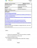 Actividad Integradora 2.Computación. Internet