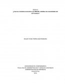 ¿Cual es el sistema economico que MEJOR satisface las necesidades del ser humano?