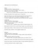 HERBOLARIO MEXICANO.