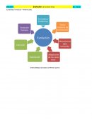 ¿Realmente afirmo Darwin que venimos del mono?