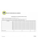 CRONOGRAMA DE ACTIVIDADES DE SERVICIO SOCIAL