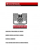 DOCTRINA EN EL DERECHO PROCESAL.