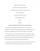 Estudiantes de enfermería frente a un desastre natural.