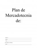 PLAN DE MERCADOTECNIA.