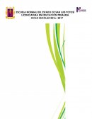 PRÁCTICA PROFESIONAL.