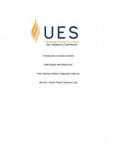 Introduccion al campo turistico.