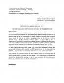 Poliferacion DIVISIÓN CELULAR Y MÉTODOS DE ESTUDIO DE PROLIFERACIÓN