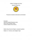 Producción industrial de derivados de aminoacidos.
