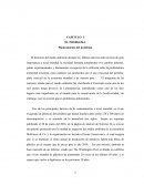 Elaboracion de Bolsas Artesanales con Productos Reciclados.